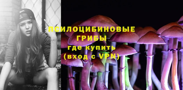 таблы Арсеньев