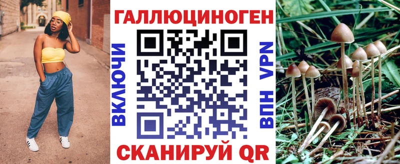 Галлюциногенные грибы Psilocybe  Тетюши 